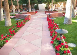 Tempe Mission Palms